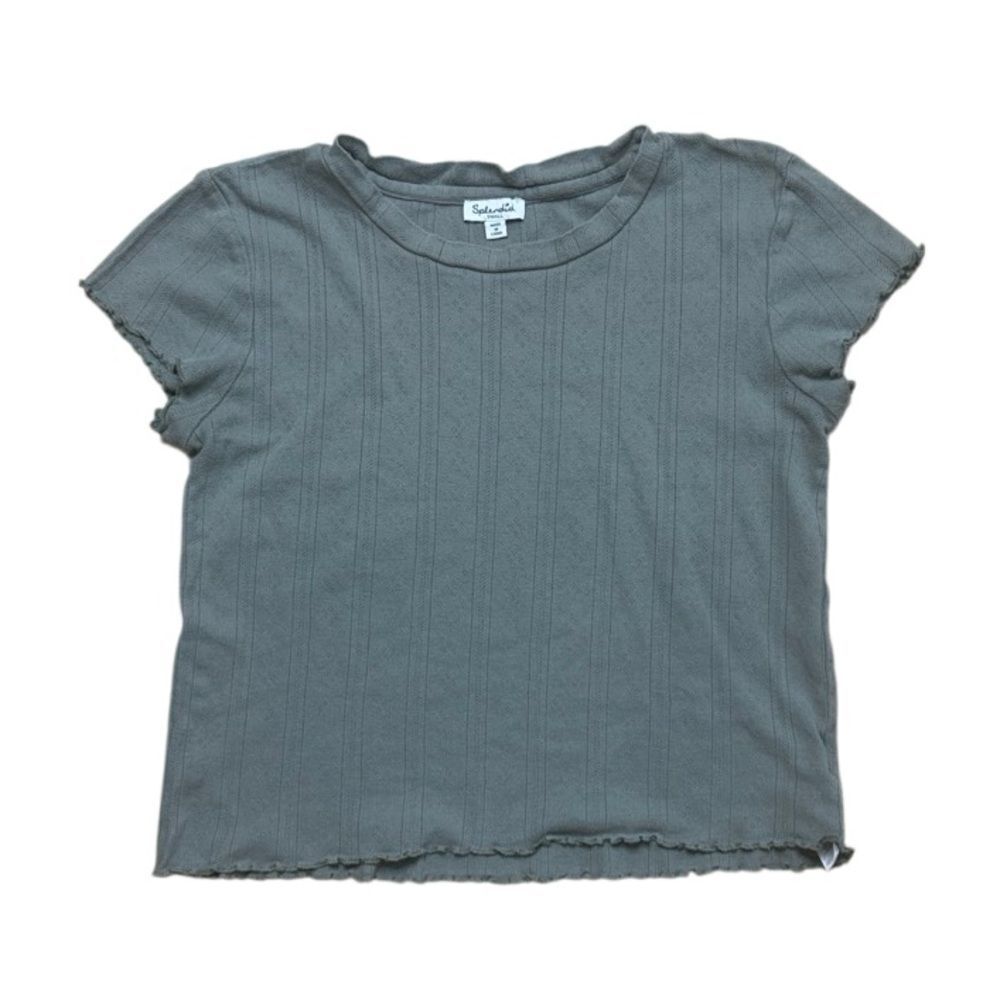 Splendid Sage Green Como Pointelle Cotton Tshirt Small Lettuce Hem Crew Neck